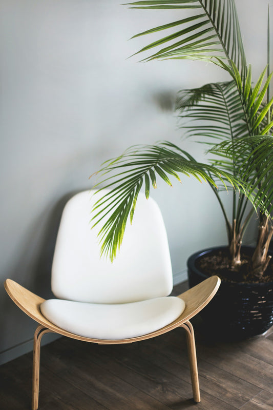 Sienna Cloud – Rest with Style